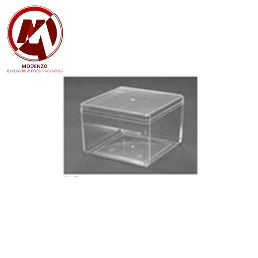 Plastic Box (CH9560) 200pcs/CTN
